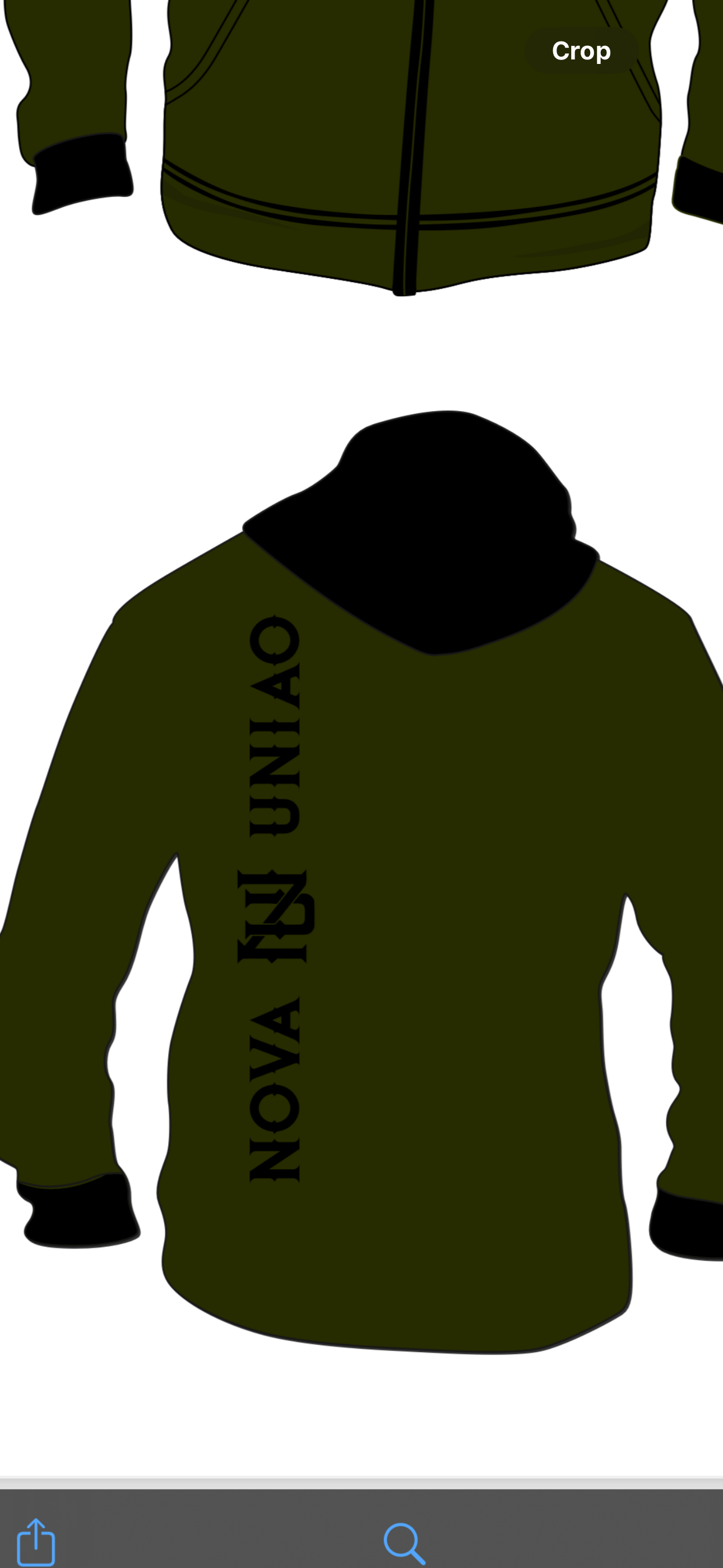 Military Green Hoodie (turned in to bag)