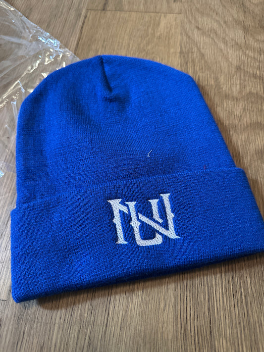 Beanie (Blue)